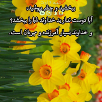 خانم سالاری