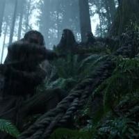 سید علی بهشتی