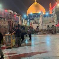 محمدرضا کارگرنجفی