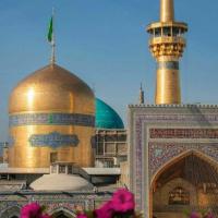 سیدمحمدعلی اشرفزاده