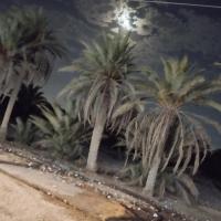 معصومه ناصحی