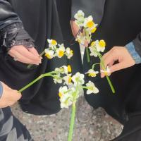 ترنم رضائی