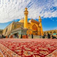 علی محمدی