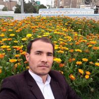 محمدعلی رضایی