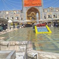 محبی فاطمه