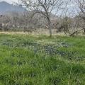 حسین رضایی شجاعی
