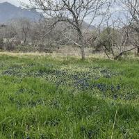 حسین رضایی شجاعی