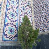 زهرا میرمحمدی