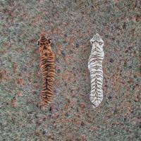 محمدرضا حمد الهی