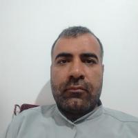 داوود اوجی