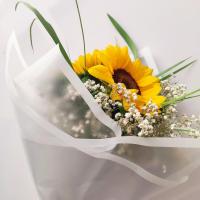 زهرا خوشفکران