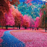 فاطمه میرجلیلی