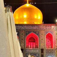 سیدعلی قریشی