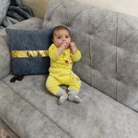 سید حسین موسوی