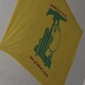 طاها طاها