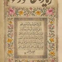 نازنین نصیری
