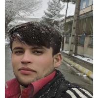 جاوید رضا پور