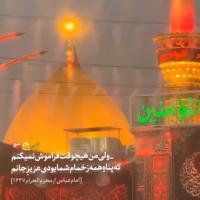 حنانه پور محی ابادی