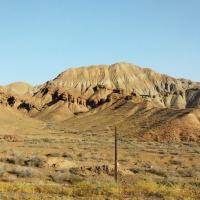 فاطمه مومنی