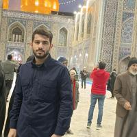 محمدامین لویمی