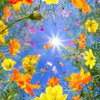 نرجس خاتون حسینیان گرو