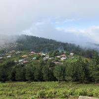 محمدرضا سازمند