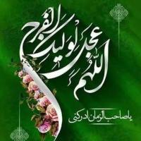 سیدرضا میرمحمدی