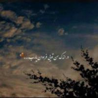 سمانه عامری