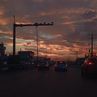 فاطمه قلی پور