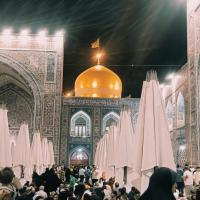 محمد رضا