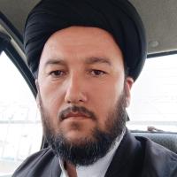 سید جاوید هاشمی