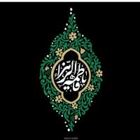 محمد محمدی
