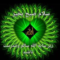 شیروان امیری پونل