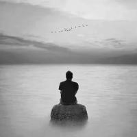 مجید حسین زاده