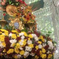 مهدی کلهر