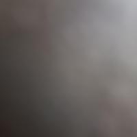 عاطفه شهرکی