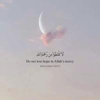 کیمیا علی محمدی