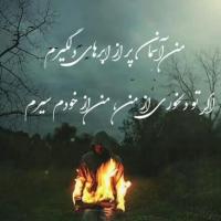 سید علی هاشمی