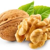 مادح محمودی