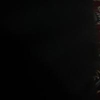 مهرداد ترابی