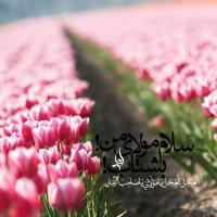 صدیقه احمدی