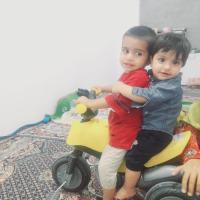 مجتبی قنبری گل