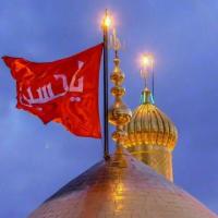 شهناز شهبازی