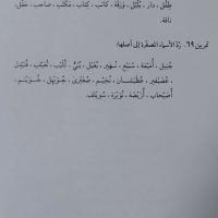 سلاله موسویان