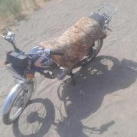 علی سالارپور