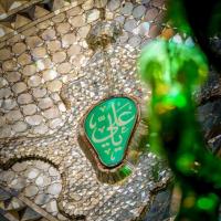 فاطمه اردستانی