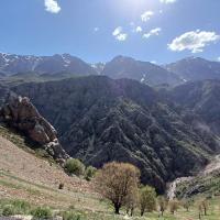 کاوه غریبی