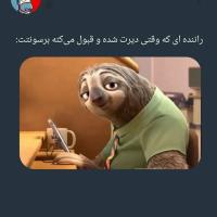 امير عباسي