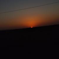 علی فاطمی