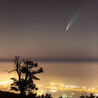 حمیدرضا حسینعلی